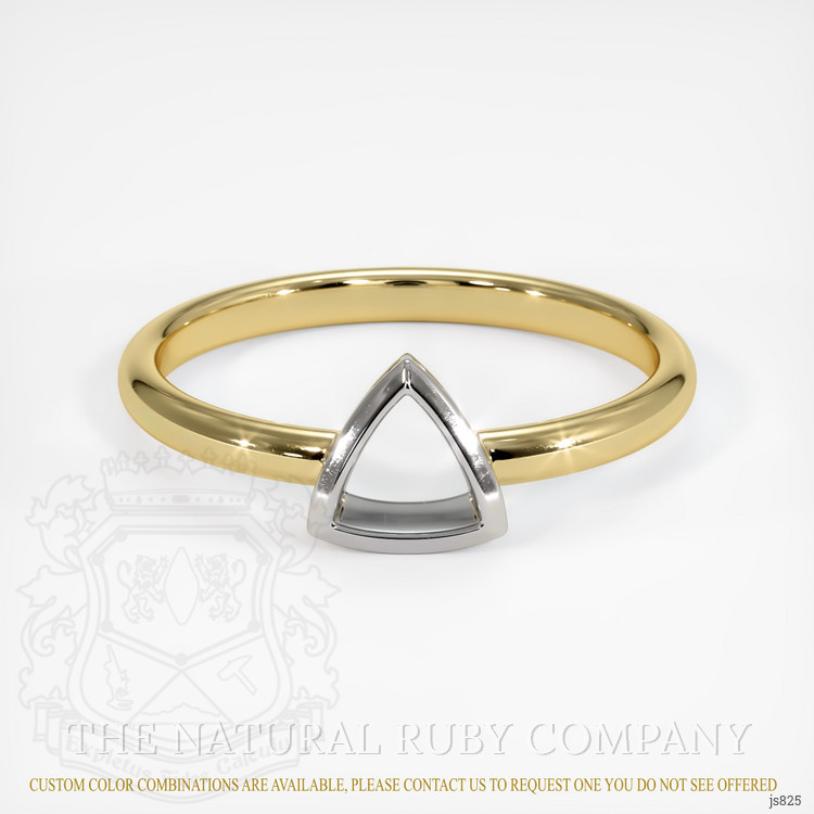 14K White & Yellow Men's Ring Setting