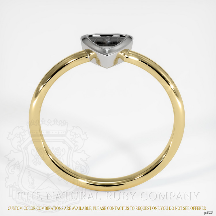 14K White & Yellow Men's Ring Setting