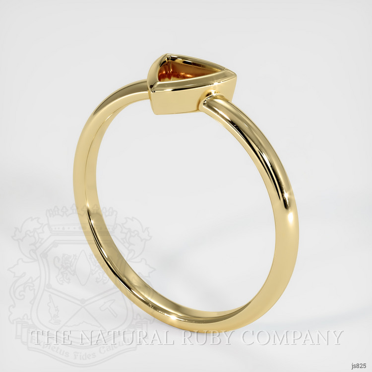 10K Yellow Gold Men's Ring Setting