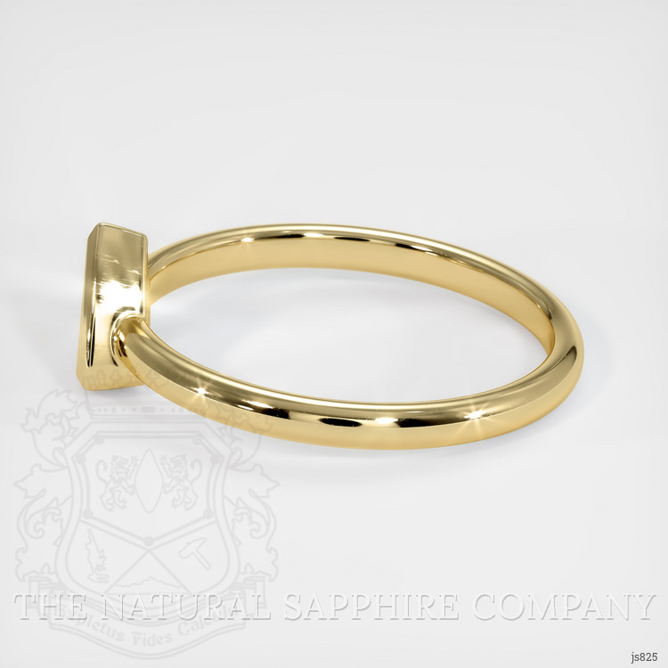 14K Yellow Gold Men's Ring Setting