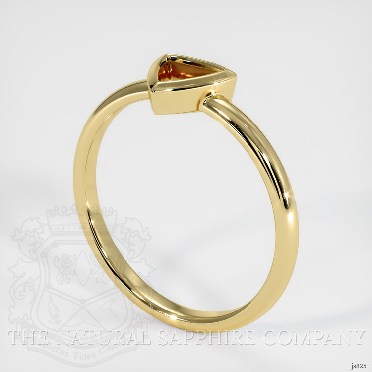 18K Yellow Gold Men's Ring Setting