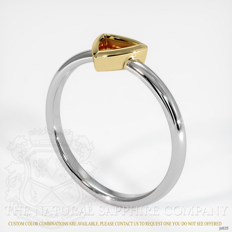 14K Yellow & White Men's Ring Setting