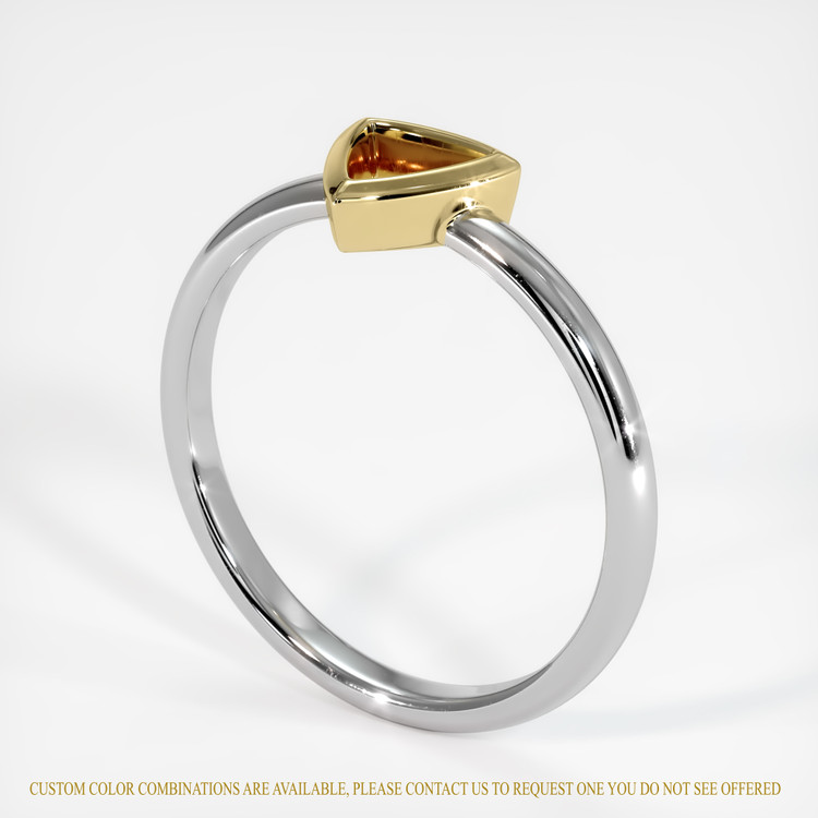 14K Yellow & White Men's Ring Setting