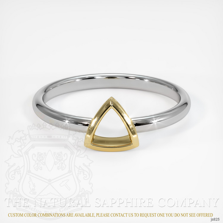 14K Yellow & White Men's Ring Setting