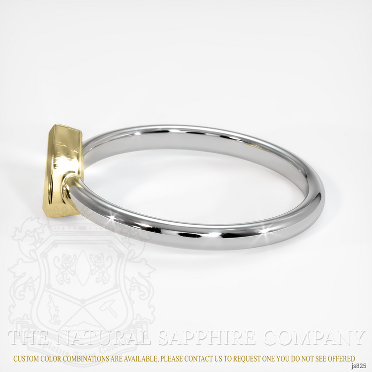 14K Yellow & White Men's Ring Setting
