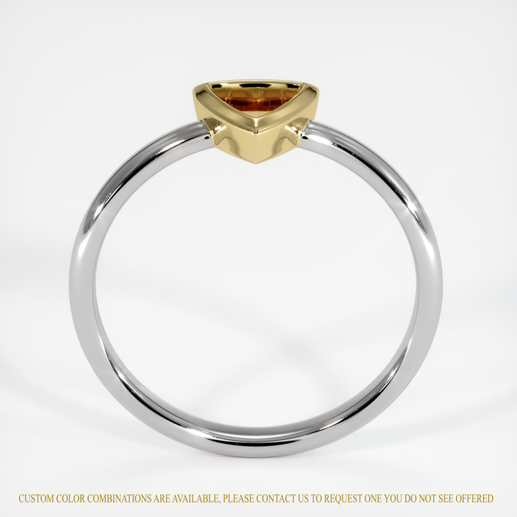 14K Yellow & White Men's Ring Setting