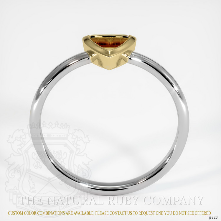 14K Yellow & White Men's Ring Setting