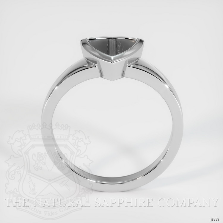 10K White Gold Vedic Ring Setting