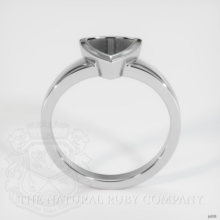 10K White Gold Vedic Ring Setting