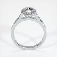 10K White Gold Pave Ring Setting Image
