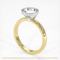 14K White & Yellow Bezel Ring Setting Video