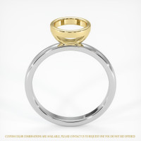 14K Yellow & White Bezel Ring Setting Image