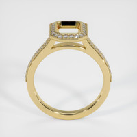 14K Yellow Gold Pave Ring Setting Image