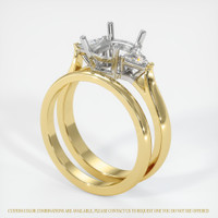 14K White & Yellow Three Stone Ring Setting Video