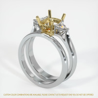 18K Yellow & White Three Stone Ring Setting Video