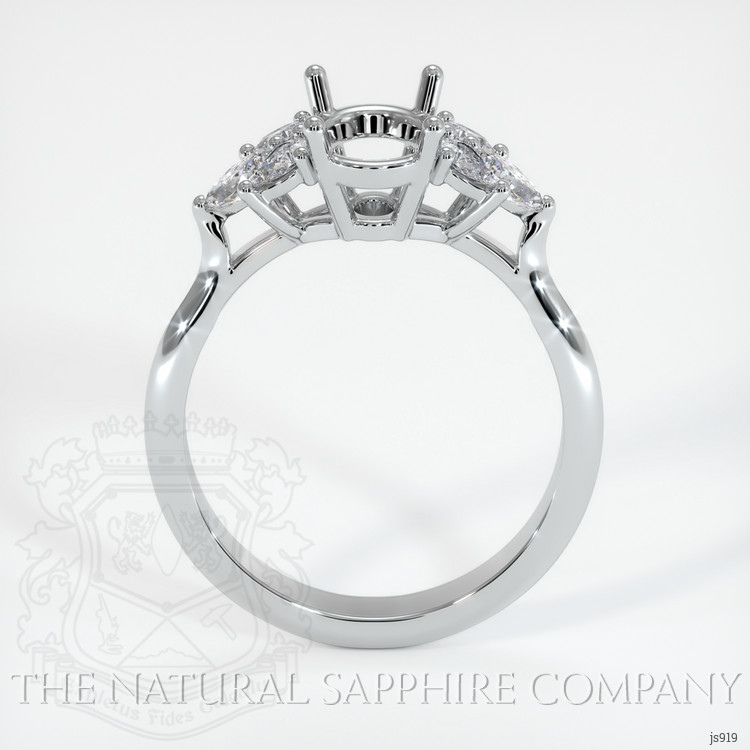 Platinum 950 Accent Stones Ring Setting