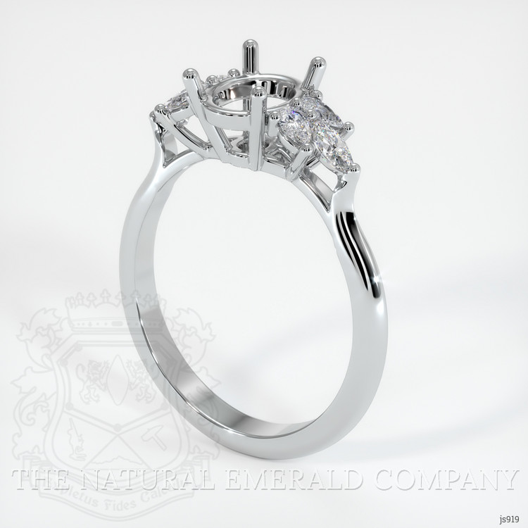 Silver Accent Stones Ring Setting