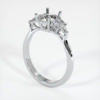 10K White Gold Accent Stones Ring Setting Video