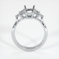 14K White Gold Accent Stones Ring Setting Image
