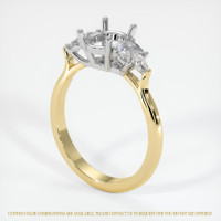 14K White & Yellow Accent Stones Ring Setting Video