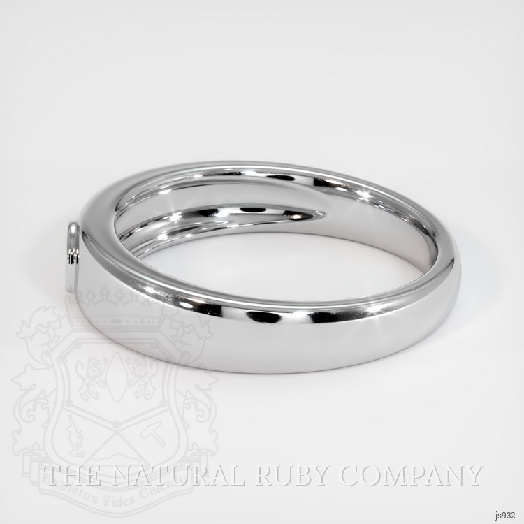 10K White Gold Men's Ring Setting