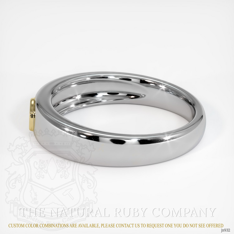 14K Yellow & White Men's Ring Setting