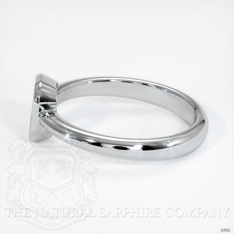 10K White Gold Men's Ring Setting