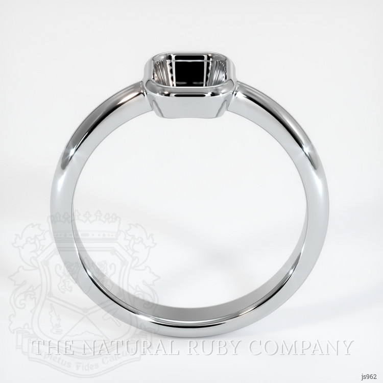 10K White Gold Men's Ring Setting