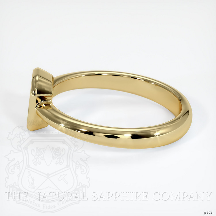 10K Yellow Gold Men's Ring Setting