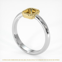 14K Yellow & White Men's Ring Setting Video
