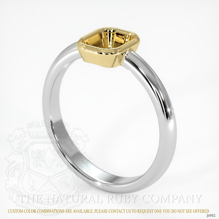 14K Yellow & White Men's Ring Setting