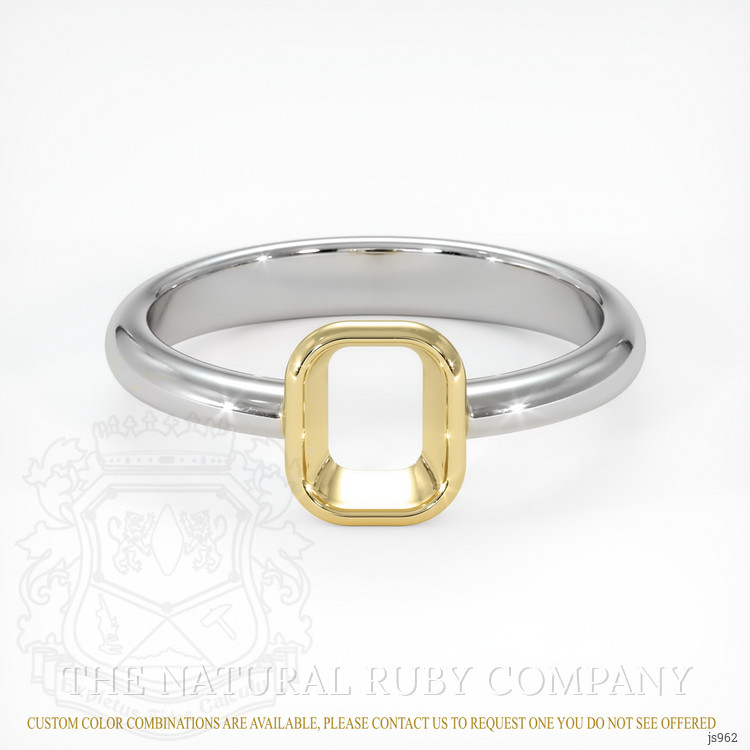 14K Yellow & White Men's Ring Setting