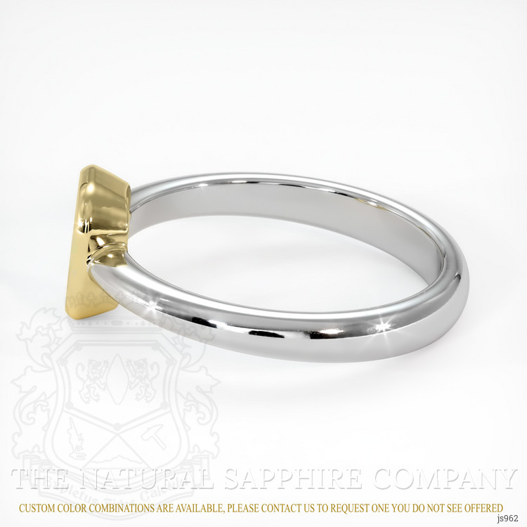 14K Yellow & White Men's Ring Setting