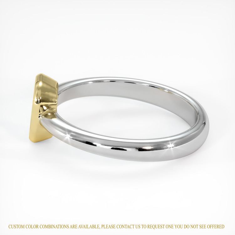14K Yellow & White Men's Ring Setting