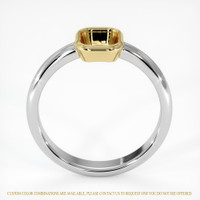 14K Yellow & White Men's Ring Setting Image