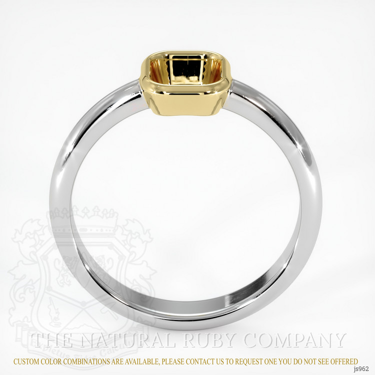 14K Yellow & White Men's Ring Setting