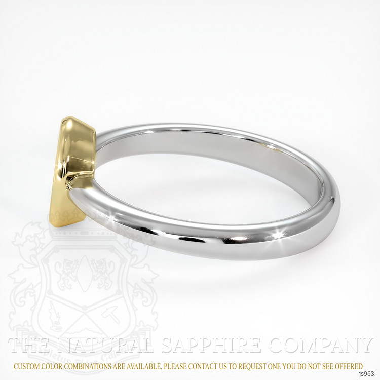 14K Yellow & White Men's Ring Setting