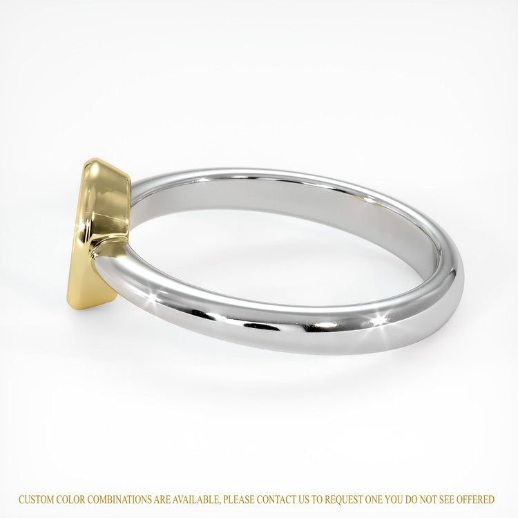 14K Yellow & White Men's Ring Setting