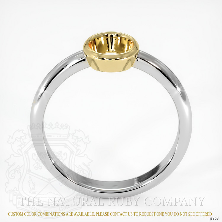 14K Yellow & White Men's Ring Setting