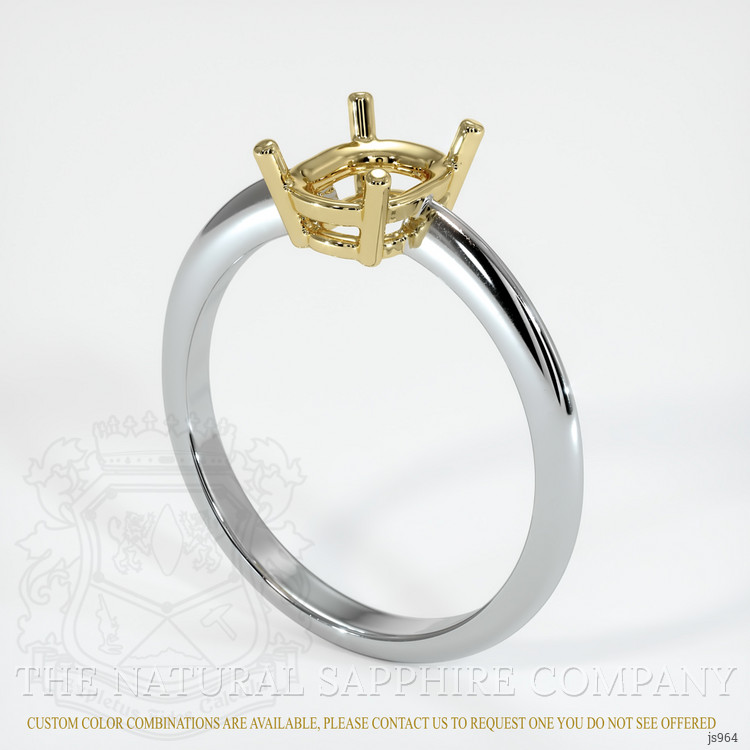 14K Yellow & White Men's Ring Setting