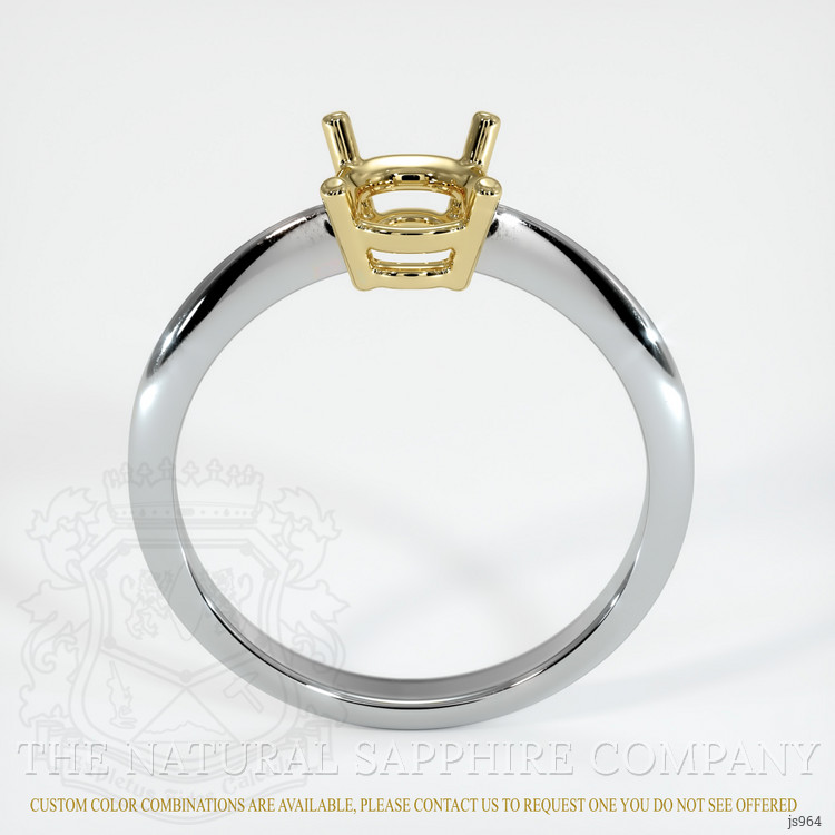 14K Yellow & White Men's Ring Setting