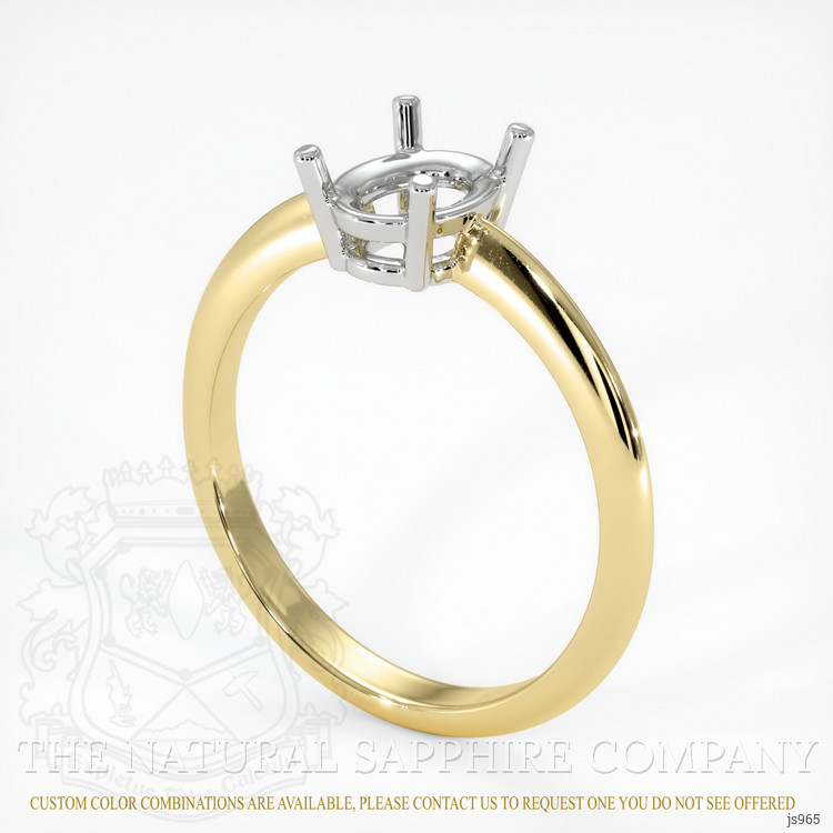 14K White & Yellow Men's Ring Setting