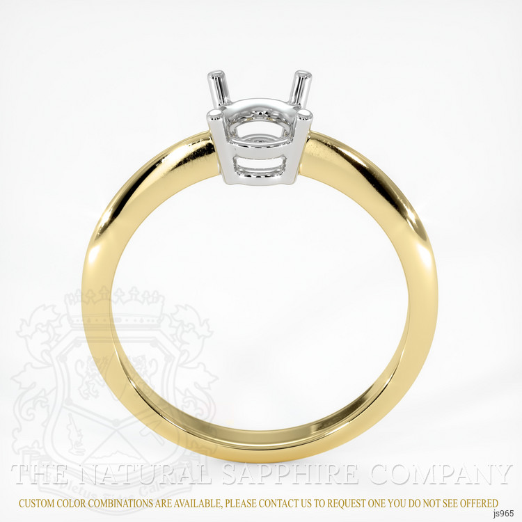 14K White & Yellow Men's Ring Setting