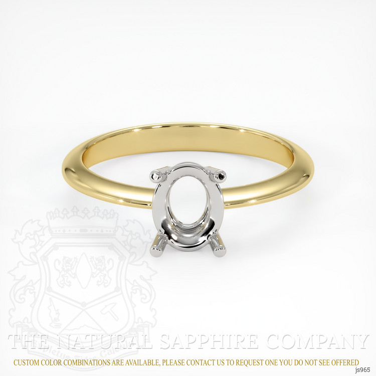 18K White & Yellow Men's Ring Setting