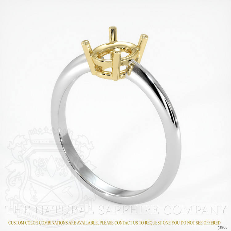 14K Yellow & White Men's Ring Setting