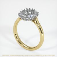 18K White & Yellow Halo Ring Setting Video