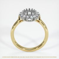18K White & Yellow Halo Ring Setting Image