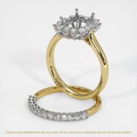 14K White & Yellow Halo Ring Setting Image