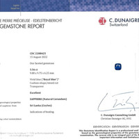 Jewelry Scan Report