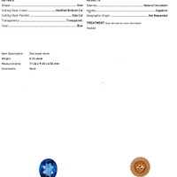 6.16 Ct. Blue Sapphire from Ceylon (Sri Lanka) Scan Report
